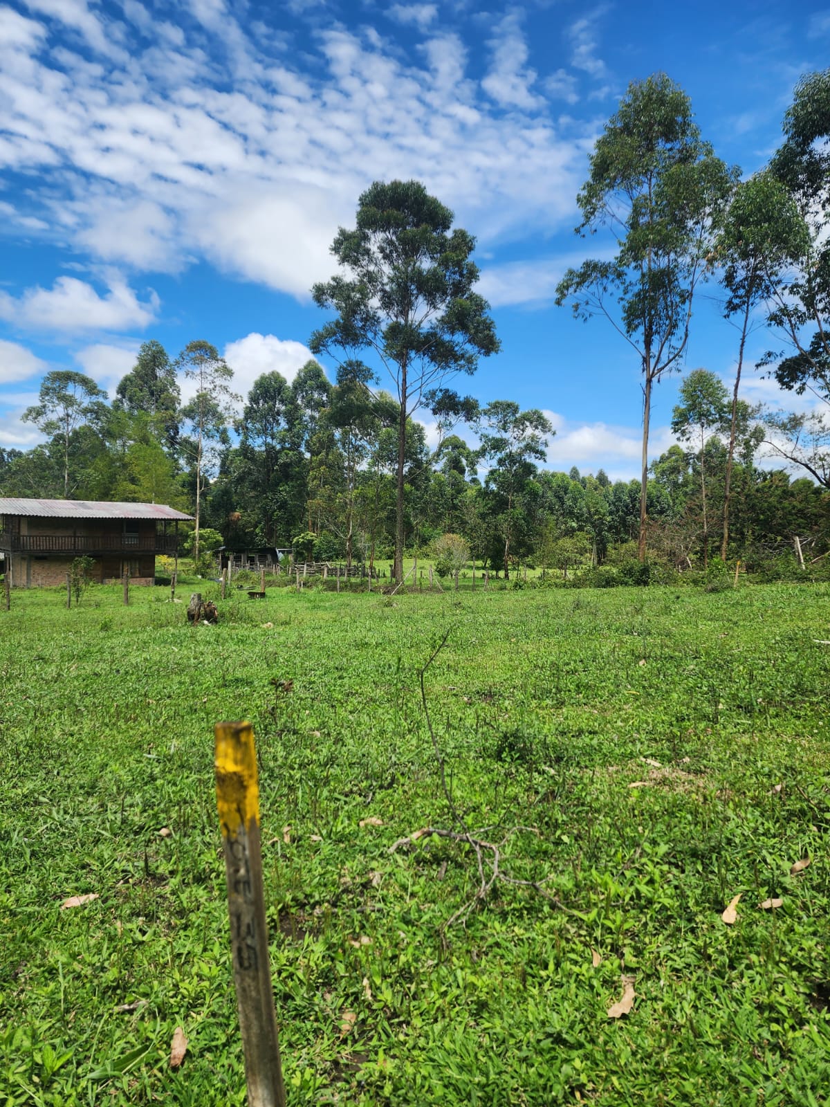 Piendamó: Portal de las Flores